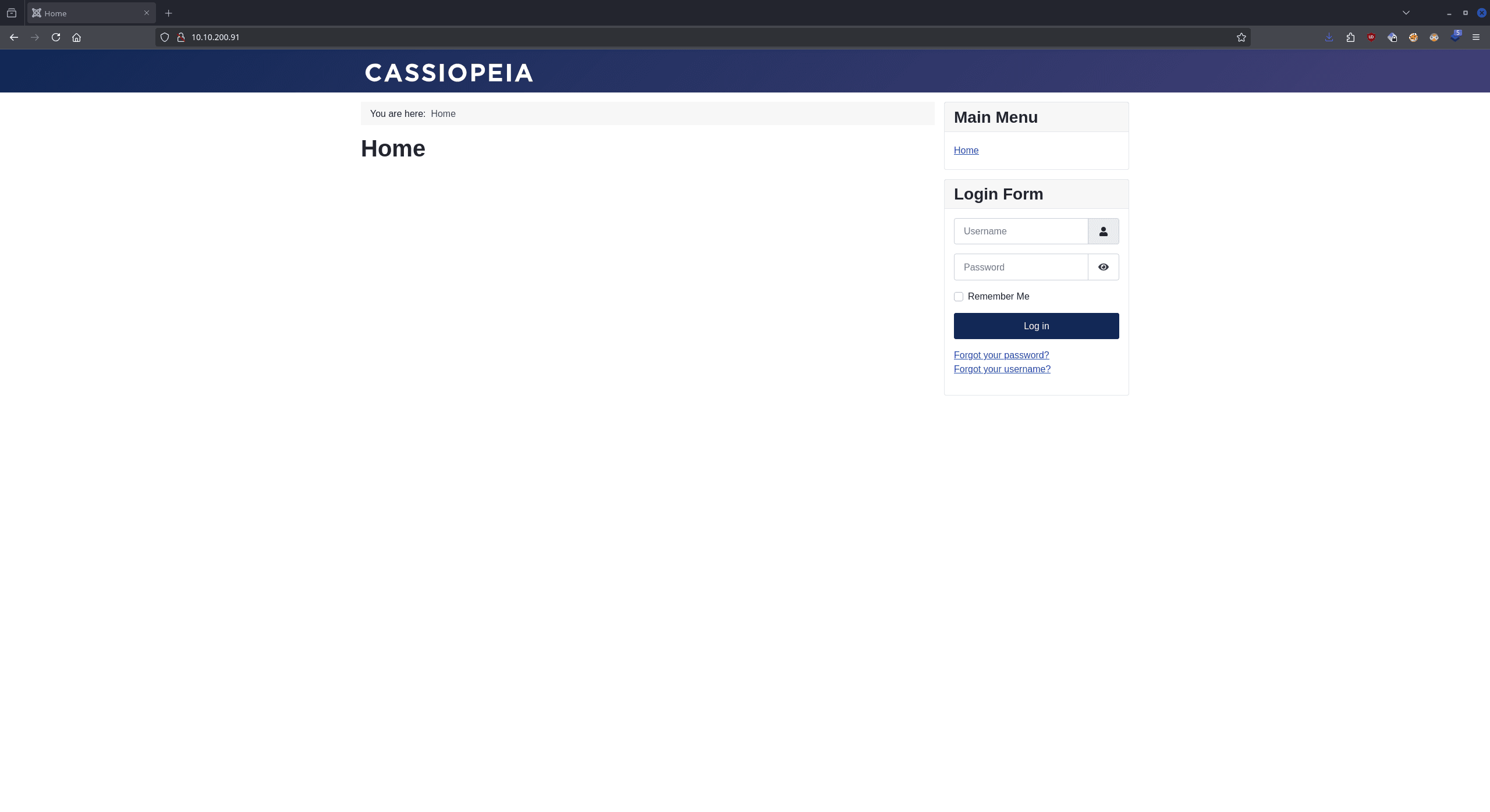 Website