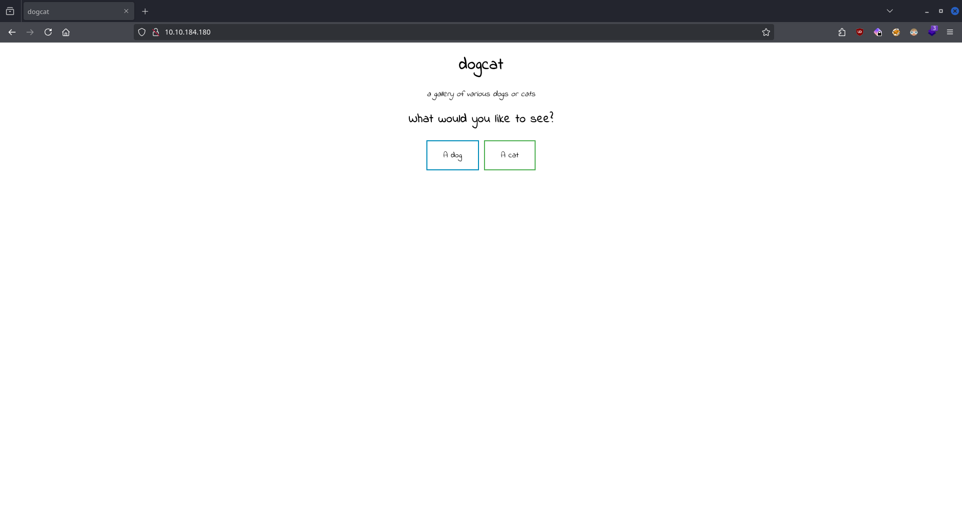 Website